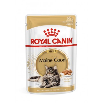 Royal Canin - Maine Coon